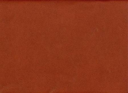 31-scanleather