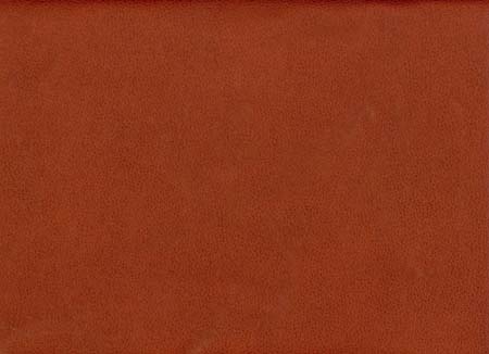31-scanleather