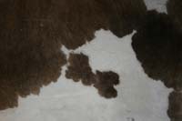 29-cowhide