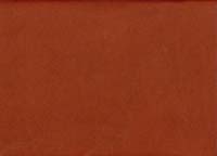 31-scanleather